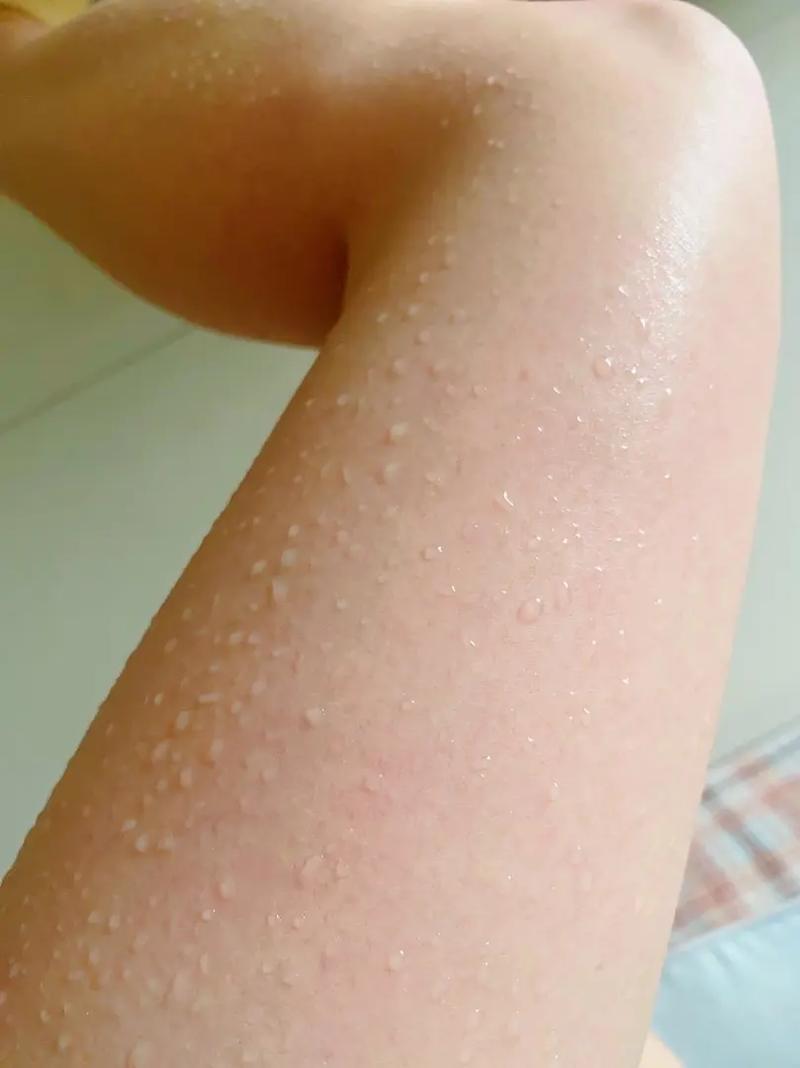 张鲁一的媳妇是谁(张鲁一老婆是谁张鲁一个人资料(2)) 张鲁一的媳妇是谁(张鲁一老婆是谁张鲁一个人资料(2))