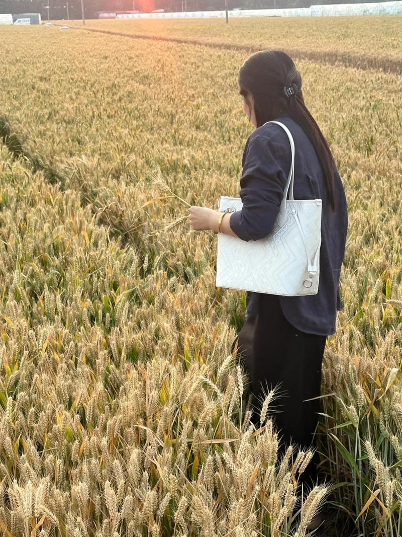 华夏收藏网地摊交易练眼力(华夏收藏网地摊交易) 华夏收藏网地摊交易练眼力(华夏收藏网地摊交易)