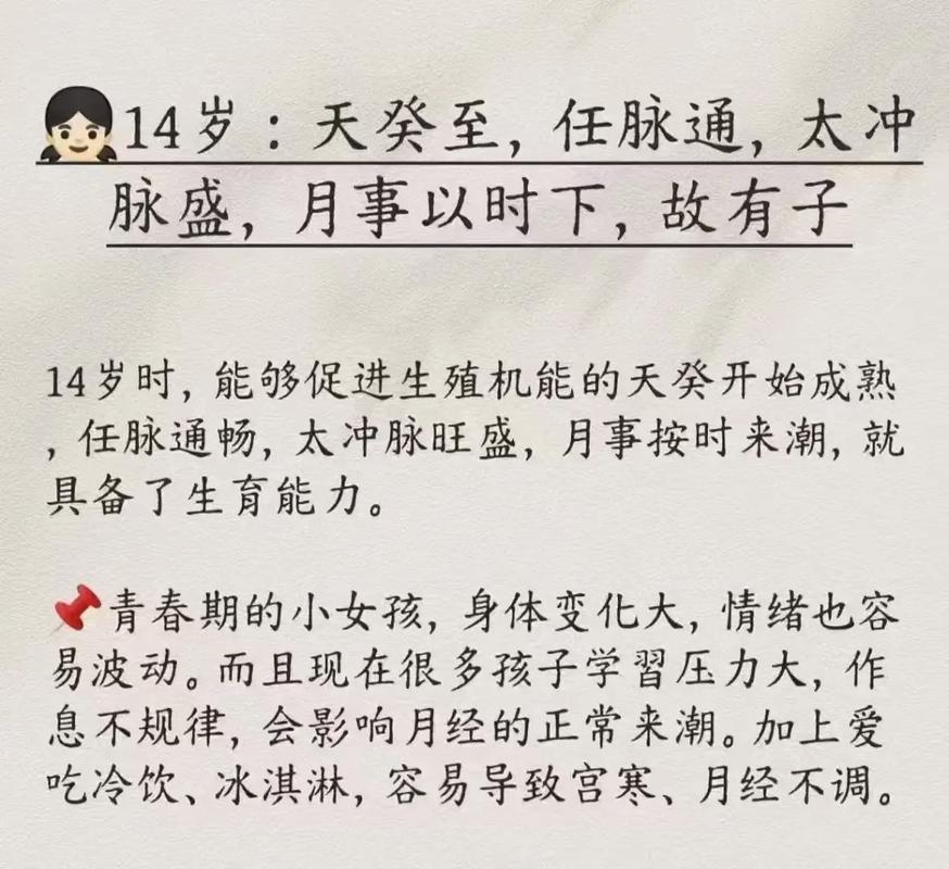 速达财务软件使用教程视频（速达财务软件使用教程）
