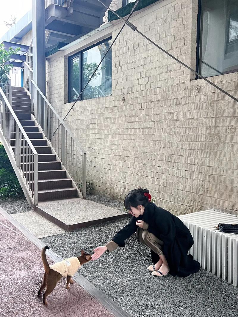 南词戏