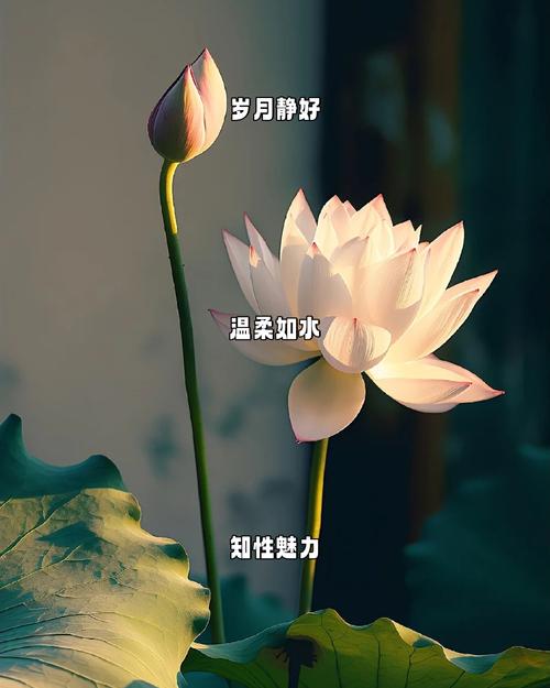 斑怎么冷冻祛斑的原理 斑怎么冷冻祛斑的原理