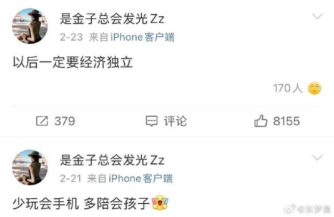 祛斑祛痘青丝坊 青丝坊养发粉