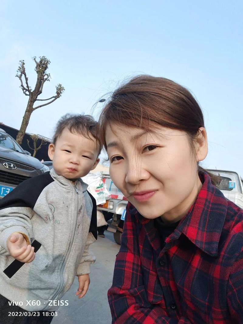 杏梅和杏子的区别（杏梅）